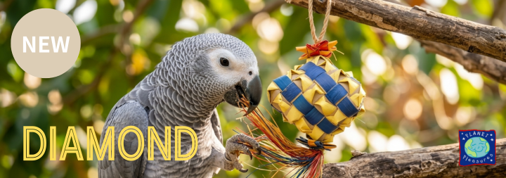 鳥グッズの店 Bird-style Yahoo!店 - Yahoo!ショッピング