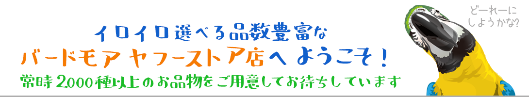 714円 安価 バードモア オリジナル モアブランコ 小 9992786 ネコポス 対応可能 鳥 とり トリ インコ