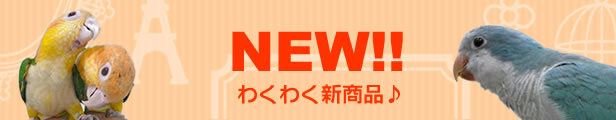 新商品はこちら♪