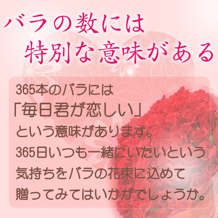 毎日君が恋しい バラ 花束 365本 薔薇 花束 花 生花 薔薇の花束 薔薇花束 ブーケ プロポーズ 誕生日 誕生日 お祝い 花言葉 ギフト プレゼント 365hon Bises Flower 通販 Yahoo ショッピング