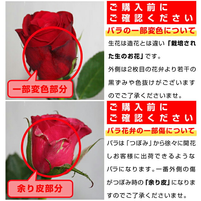 【爆買Ｐ10倍】古希祝い バラ70本の花束 赤・ピンク・ミックス・紫 生花 ギフト |  | 11