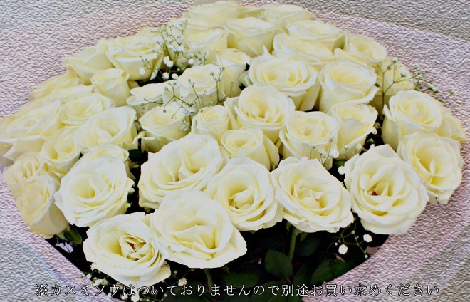 yy26 白薔薇 白バラ ミニバッジ 名古屋市 ケース付き 安心のクール便出荷】バラ 花束 ホワイトローズ 国産 白バラ 50