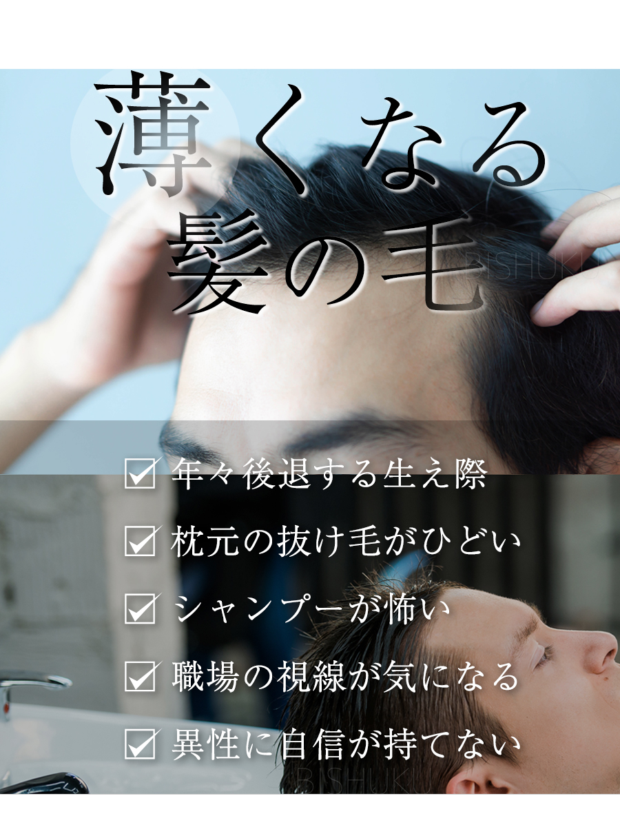 メンズ ウィッグ グレイヘア グレーヘア 自然 高品質 人毛