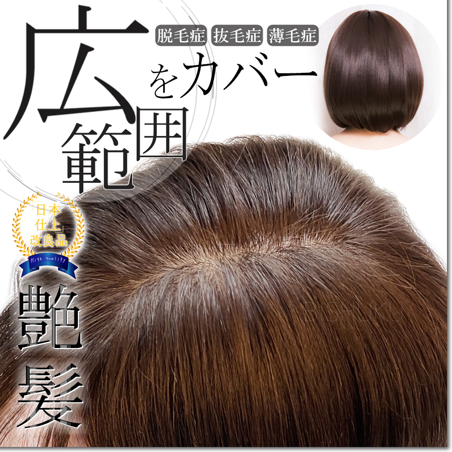 改良品 日本仕上げ 高品質 ワイドヘアピース 人毛 100% 増毛 毛量アップ ウィッグ 脱毛症 抜毛 薄毛 抗がん剤治療 母の日 BISHUKU  (col 1317 25+/30+/40+) :BI-WI-M1317:BISHUKU房 通販 