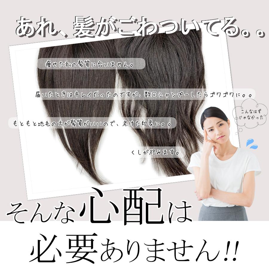 改良品 日本仕上げ ヘアピース 人毛 100% 高品質 ウィッグ 23cm〜27cm 自然 かつら つむじ隠し 白髪隠し 薄毛隠し 母の日  BISHUKU (col 20+)