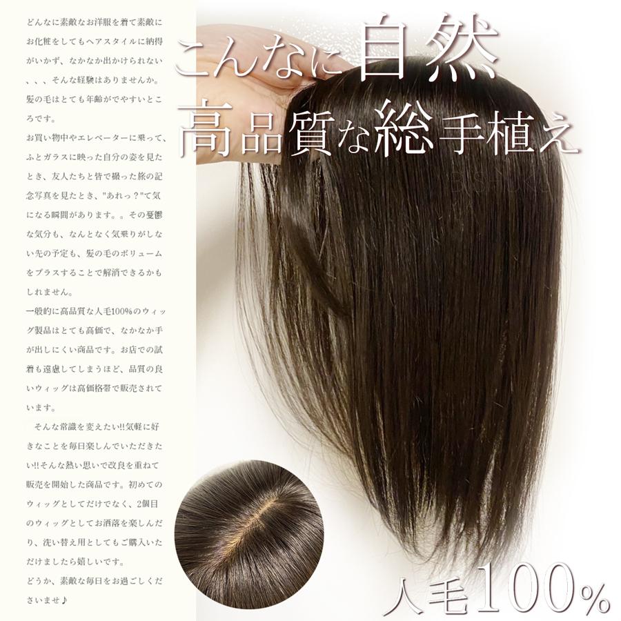 改良品 日本仕上げ ヘアピース 人毛 100% 高品質 ウィッグ 25cm(24cm