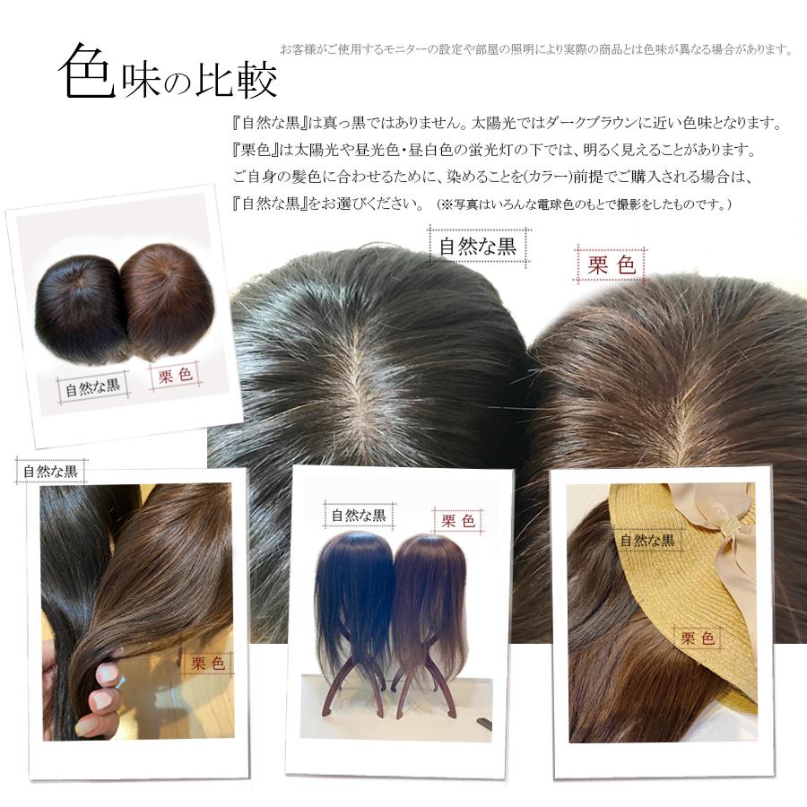 『丁寧に仕上げたヘアピース』 部分ウィッグ ウィッグ 日本仕上げ 人毛100% 25cm 30cm 高品質 医療用 ヘアピース レディース 女性  頭頂部 薄毛 (PM 25/30)