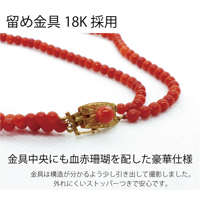 ≪希少≫土佐珊瑚 高知県産血赤サンゴ 2連ネックレス長さ41cm 金具18K