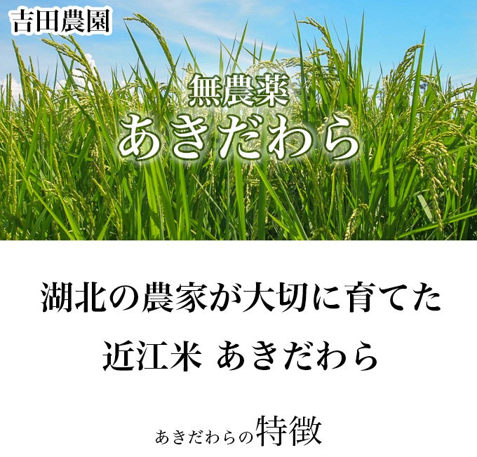 新米 2022年度 米 お米 あきだわら 5kg 無農薬 吉田農園 滋賀県産 白米 玄米 送料無料 :o-y01-a005-001:琵琶近江商店 -  通販 - Yahoo!ショッピング