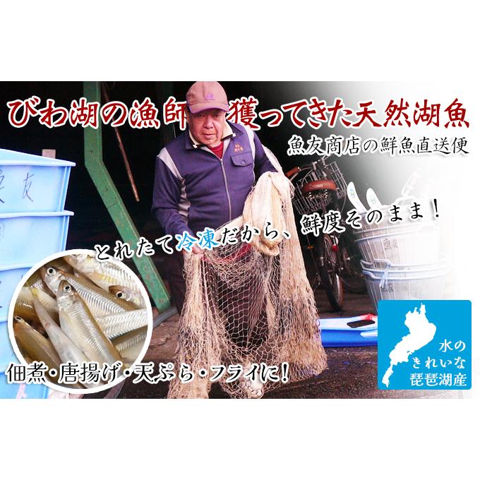 天然 琵琶湖 の ワカサギ 500g 冷凍 調理用 滋賀県産 魚友商店 送料無料｜biwaoumi｜02