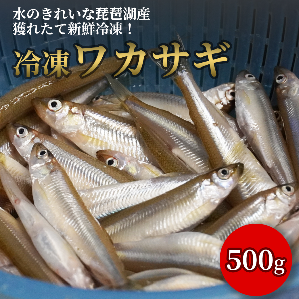 天然 琵琶湖 の ワカサギ 500g 冷凍 調理用 滋賀県産 魚友商店 送料無料｜biwaoumi