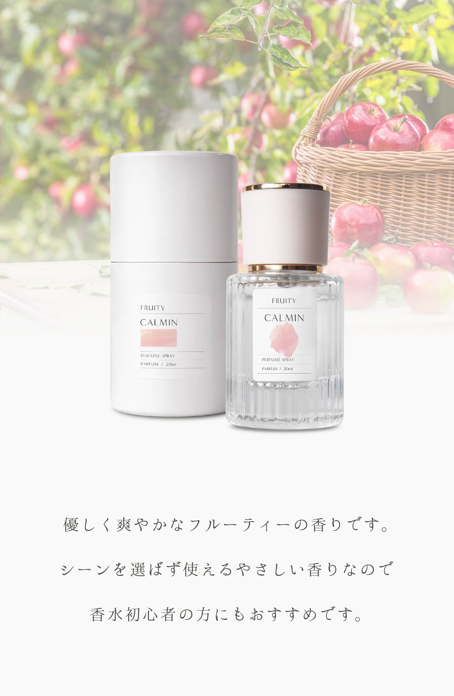 商品画像2