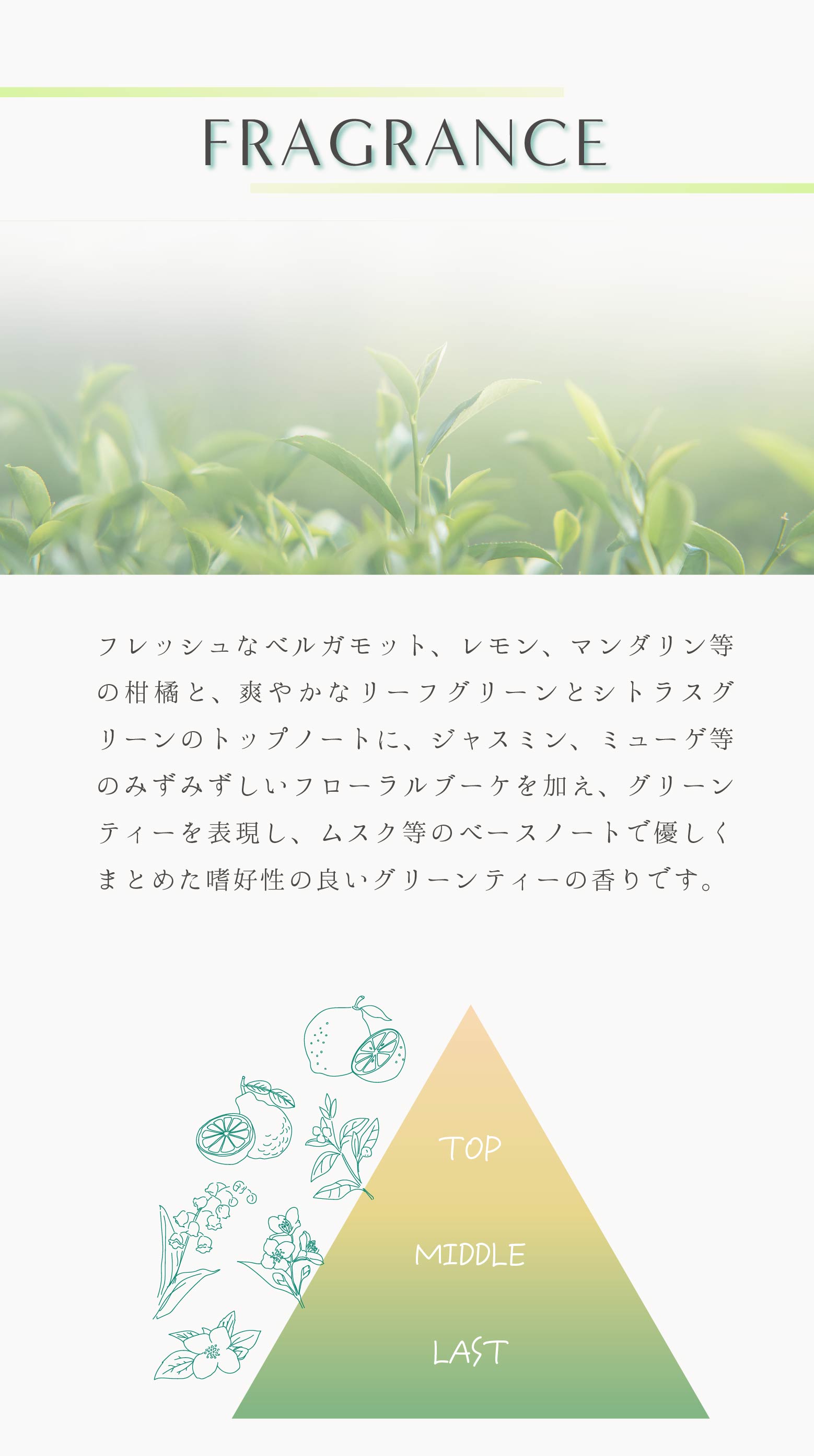 商品画像3