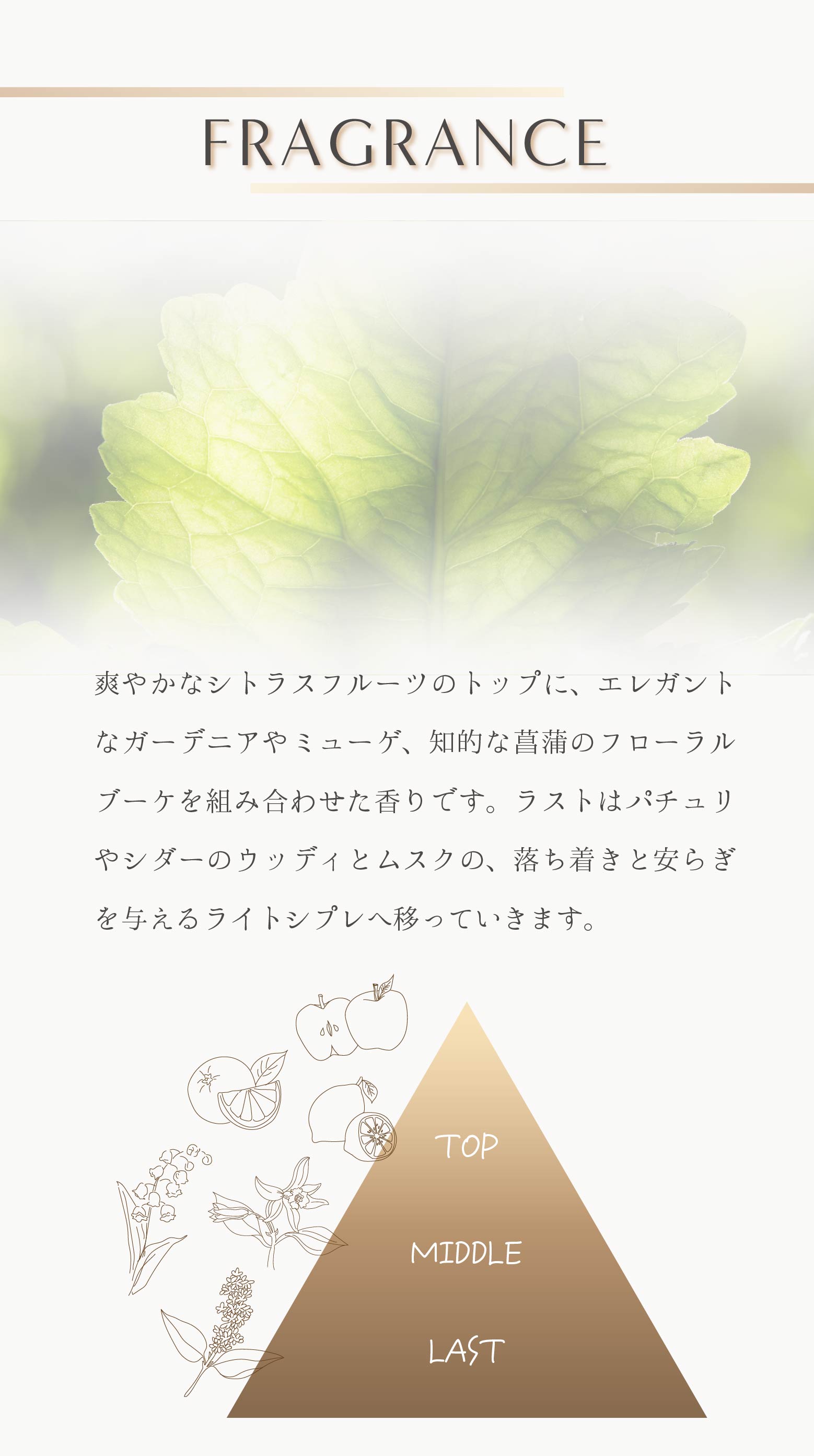 商品画像3
