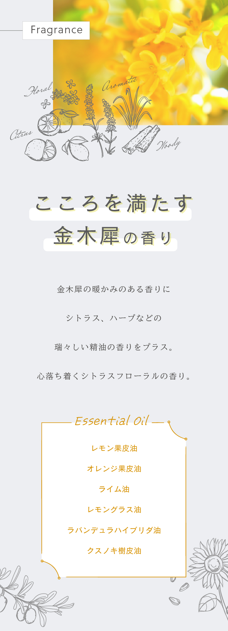 Sotto ヘアオイル 金木犀の香り 95ml アウトバストリートメント