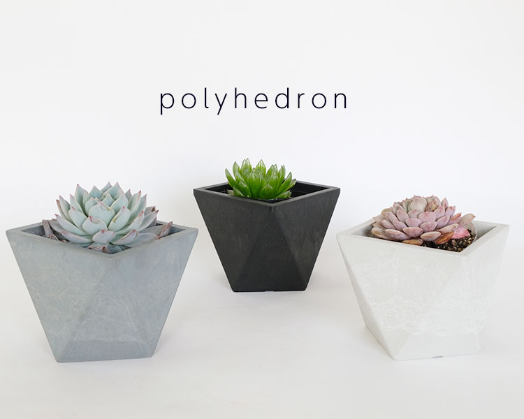 植木鉢 プラポット ポリへドロン 10cm 高さ9cm 頑丈 コーデックス