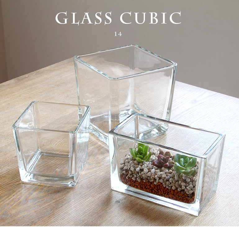 CUBIC 14 テラリウム ガラス 多肉植物 鉢 水槽 花瓶 メダカ : ag