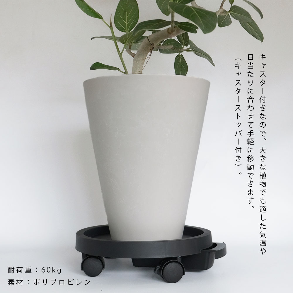 am-pt1828-2.jpg