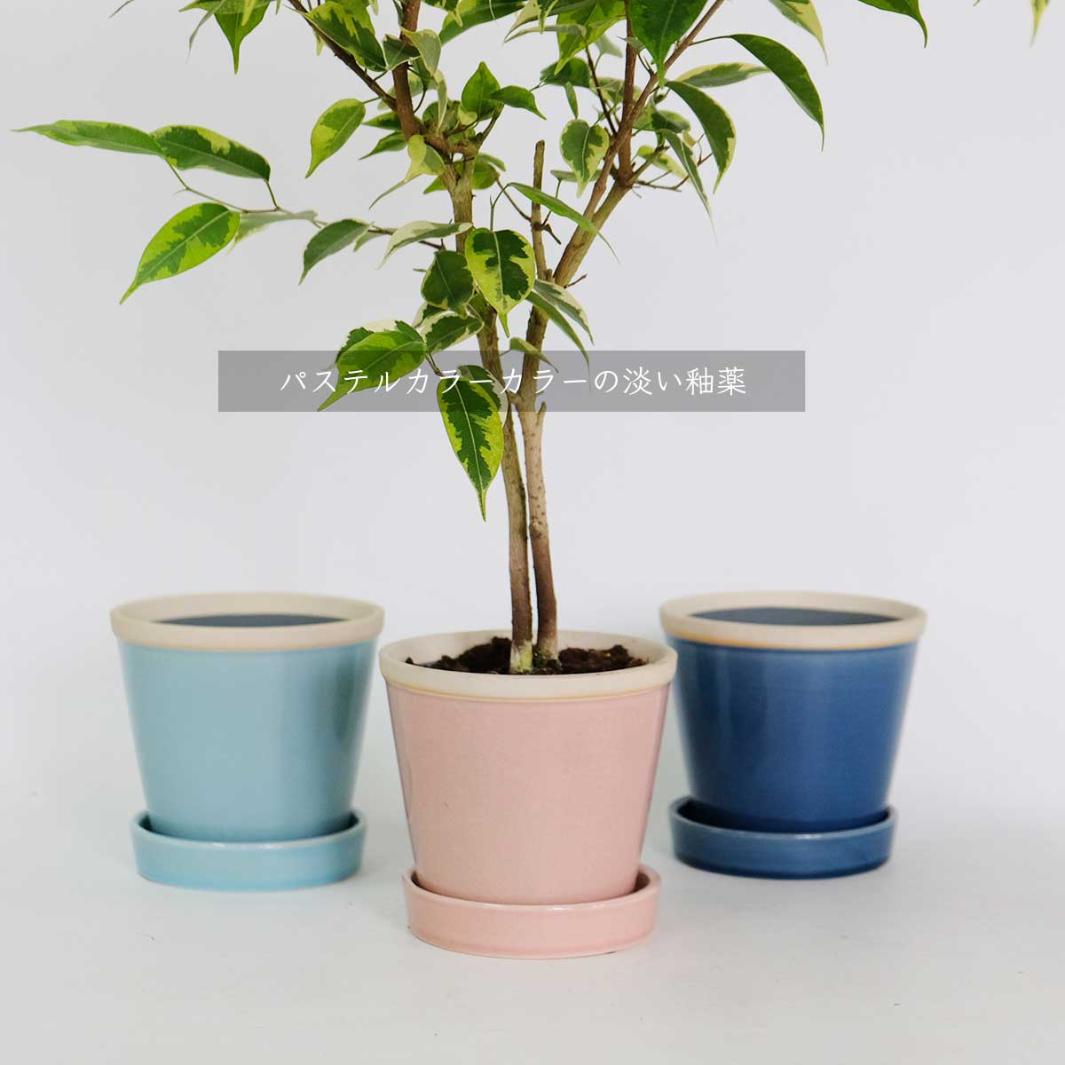 glossy pot 13 植木鉢 おしゃれ 陶器鉢 パステルカラー カラフル 室内