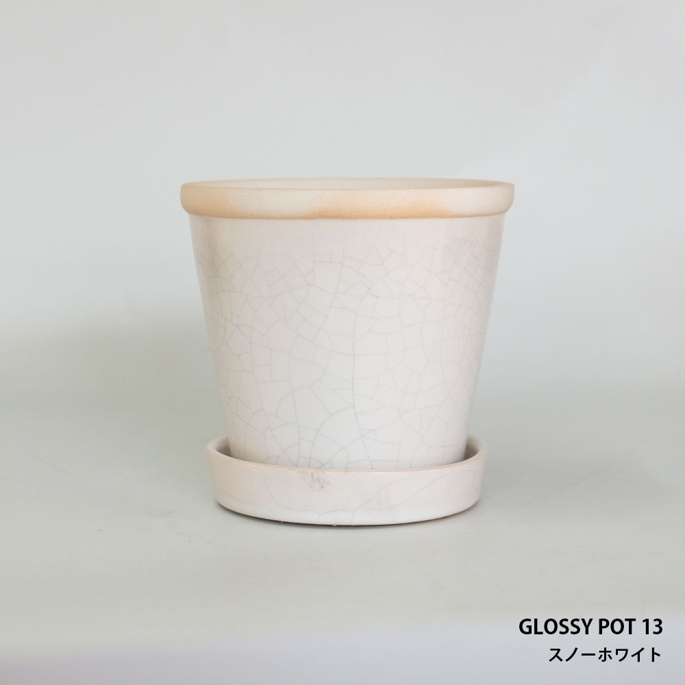 glossy pot 13 植木鉢 13cm おしゃれ 陶器鉢 パステルカラー カラフル 室内｜biyori｜02