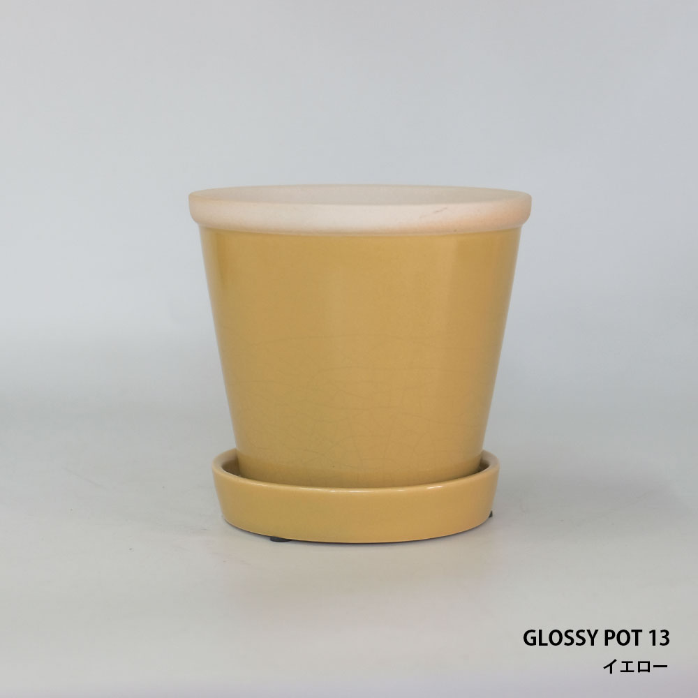 glossy pot 13 植木鉢 13cm おしゃれ 陶器鉢 パステルカラー カラフル 室内｜biyori｜03