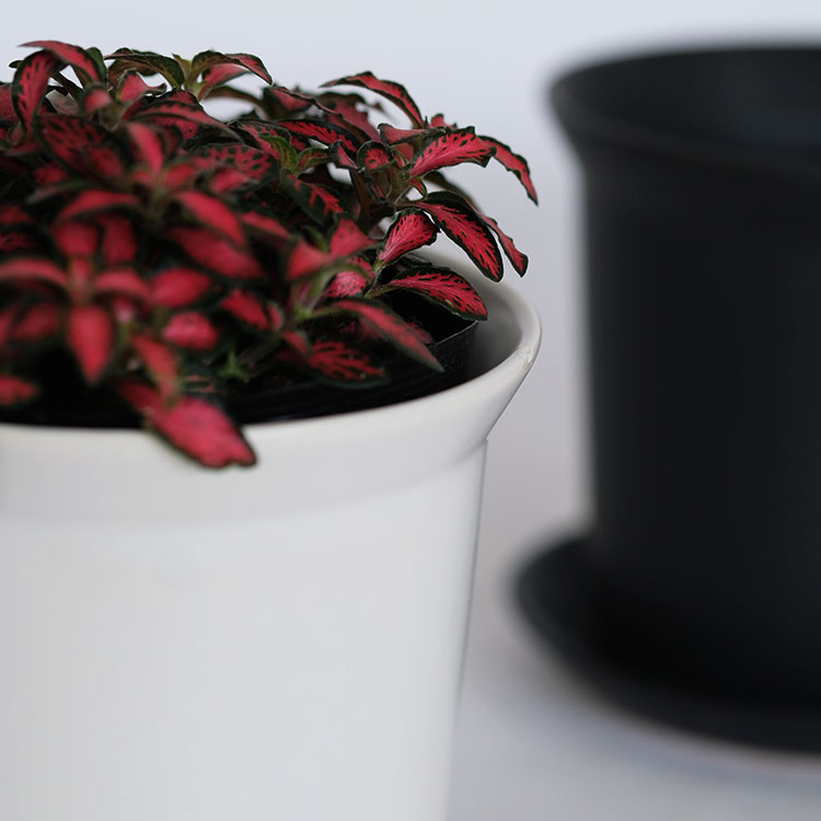 陶器鉢 ぜぜ10 受皿付 セラミック鉢 シンプル 植木鉢 径10cm 高9cm 底