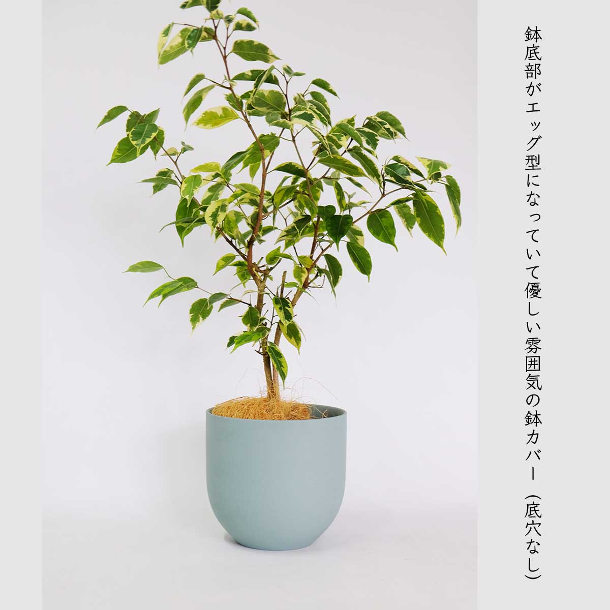 植木鉢 陶器 おしゃれ ヤルミラ17 鉢カバー 5号 径18cm 高17cm 底穴