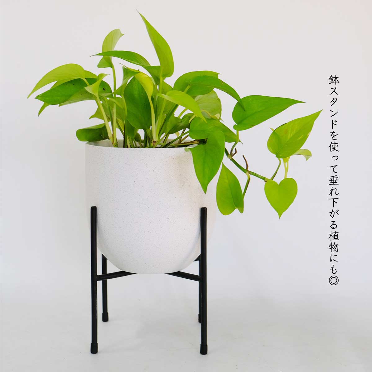 植木鉢 陶器 おしゃれ ヤルミラ17 鉢カバー 5号 径18cm 高17cm 底穴