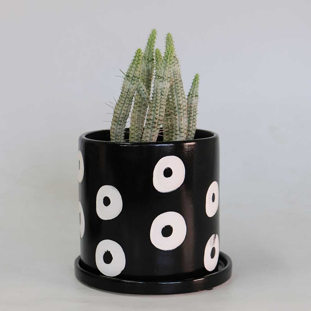 植木鉢 おしゃれ カイサ・カロラ16 受け皿付 シリンダー型 セラミック