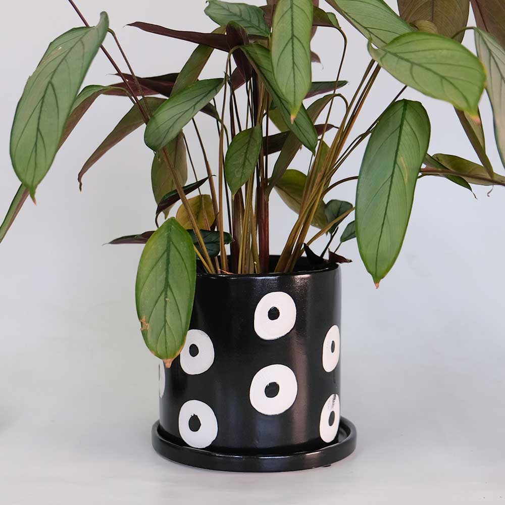 植木鉢 おしゃれ カイサ・カロラ16 受け皿付 シリンダー型 セラミック