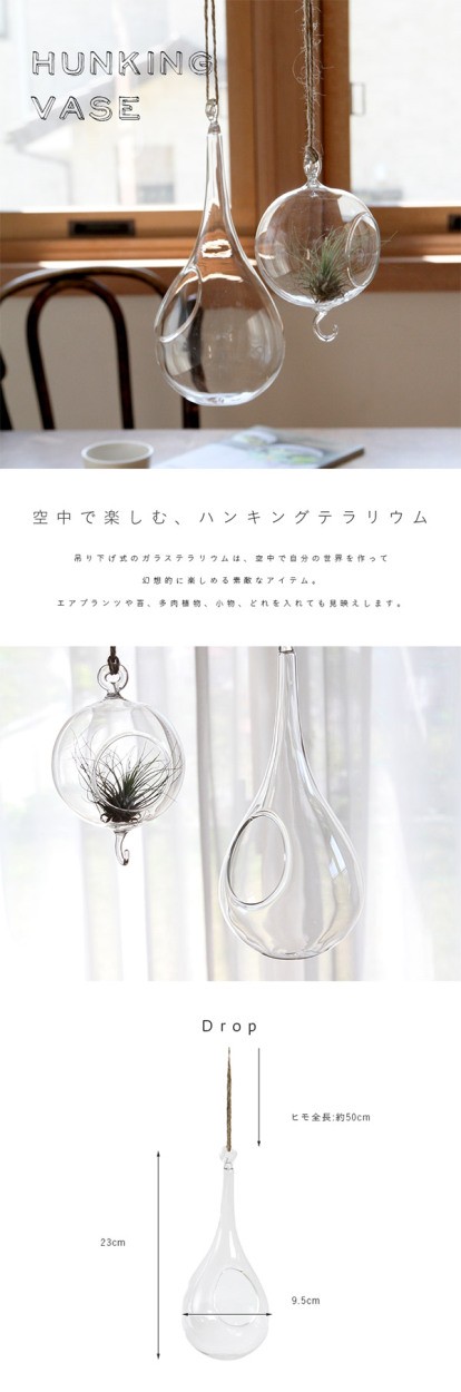 吊り型 テラリウム バンキング インテリア ガラス ショーケース 吊り型 テラリウム バンキング インテリア ガラス ショーケース