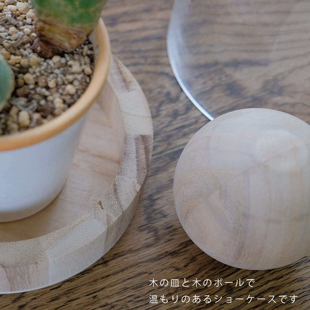 BRICK terarrium LONG テラリウム サボテン 多肉植物 : ガーデニング日