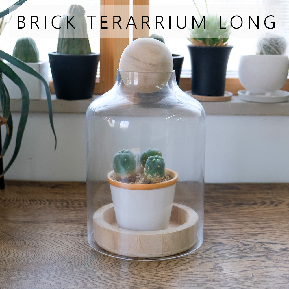 BRICK terarrium LONG テラリウム サボテン 多肉植物 : ガーデニング日