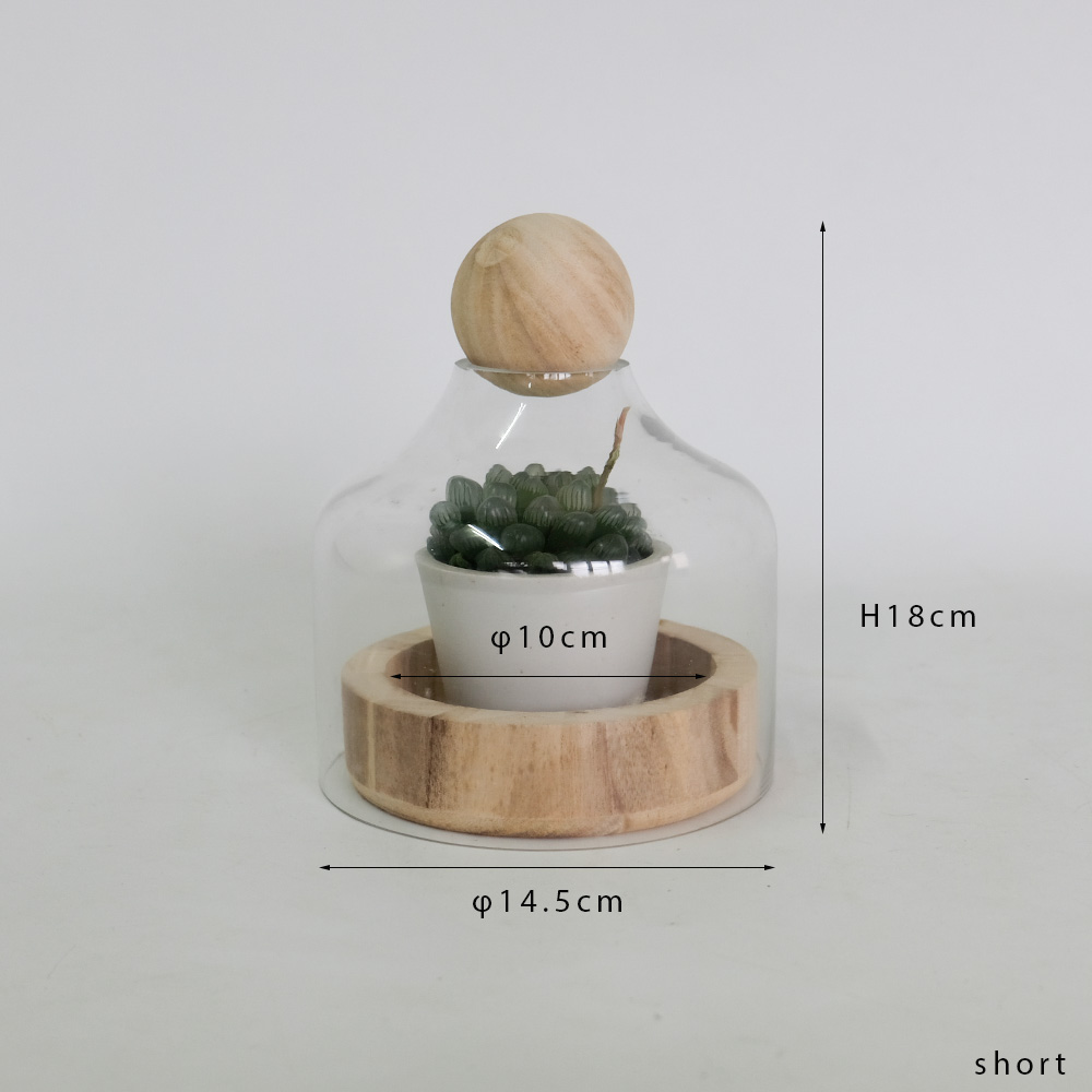 ホワイトテラリウム　ミニ温室 Amazon.co.jp: Meonum ミニ温室 鉢植えマット付き 屋内植物用 高耐久