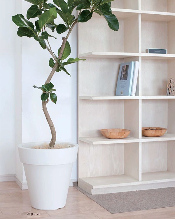 アクシス プラスト38 植木鉢 おしゃれ プランター 商業スペース KONTON