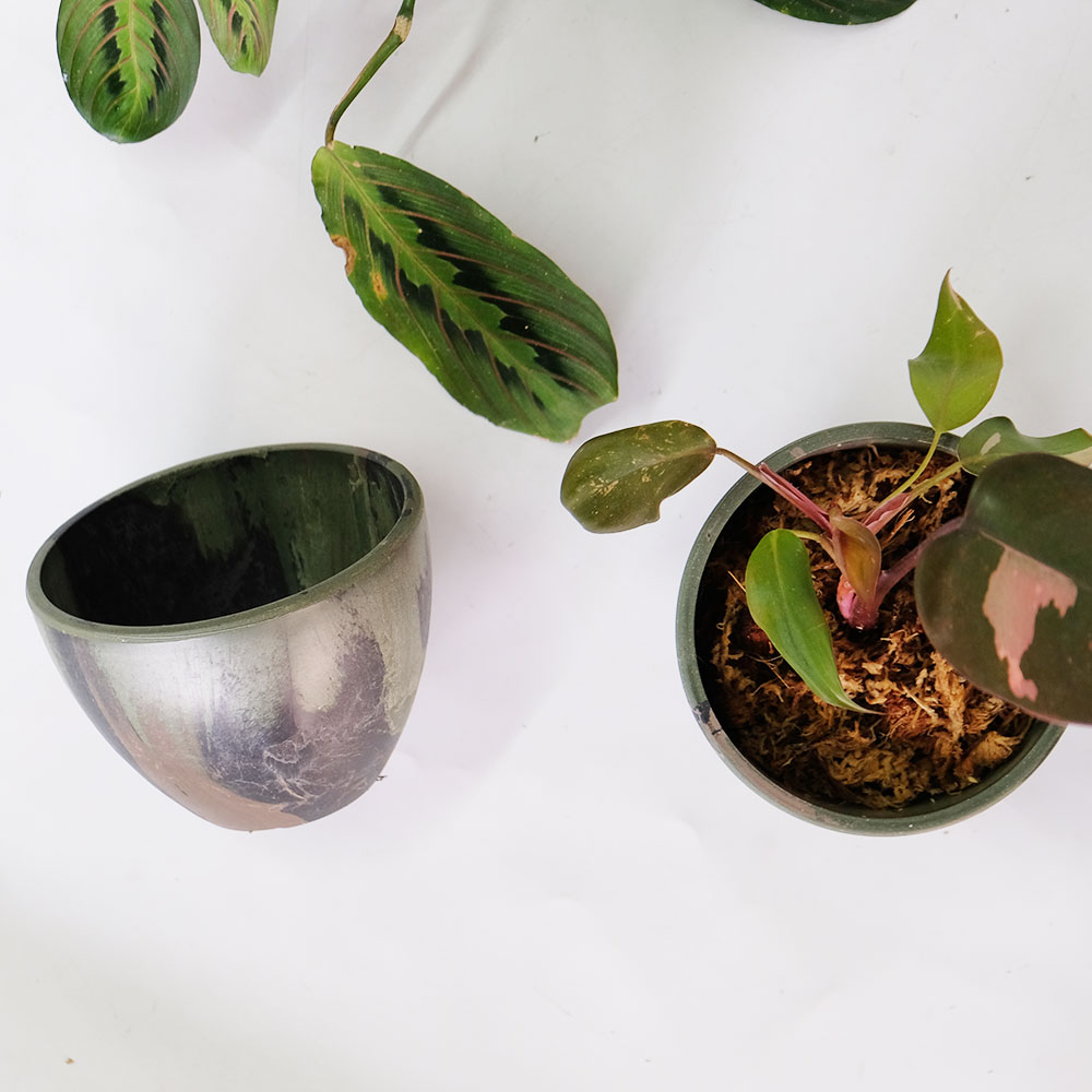 プラ鉢 カモフラージュポット bowl 10 迷彩柄 CAMO 径10.5cm 高さ8cm