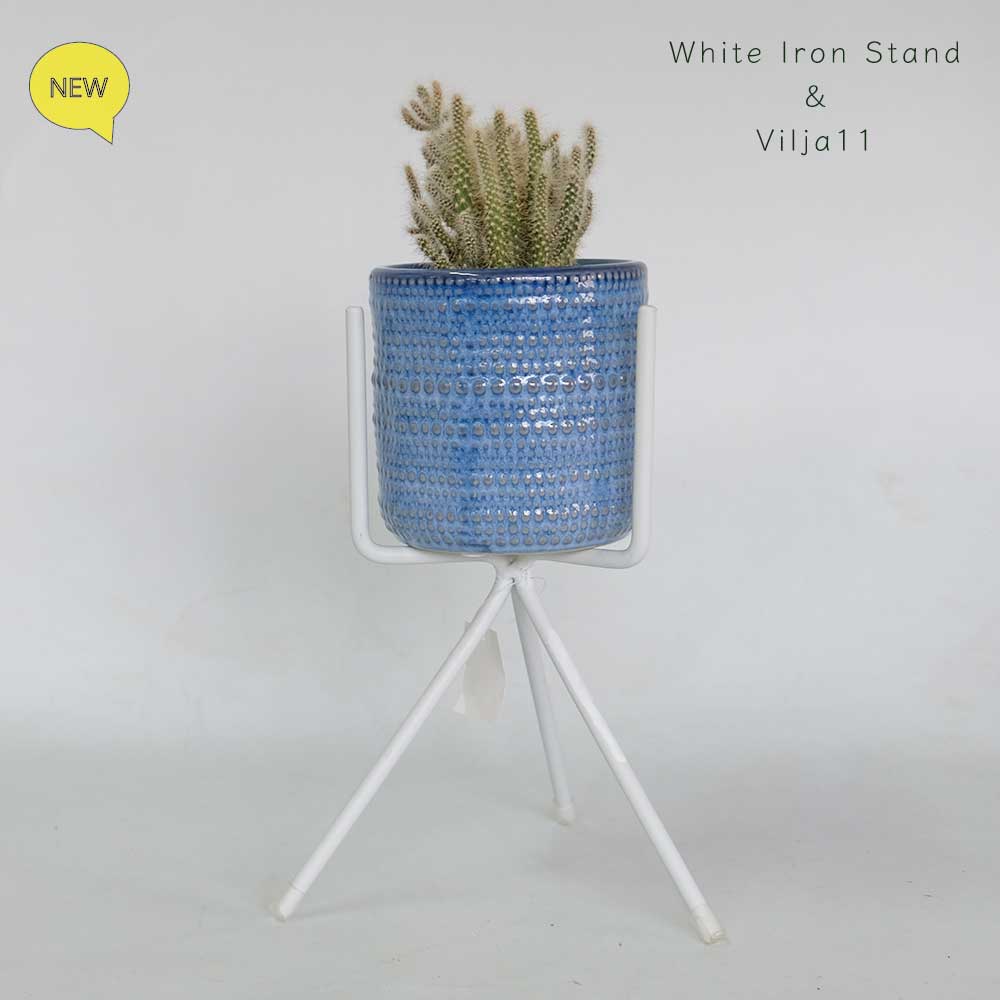 po-whiteviri11-mn4.jpg