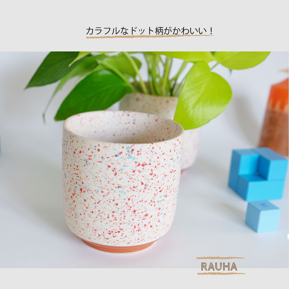 rauha2024112929.jpg
