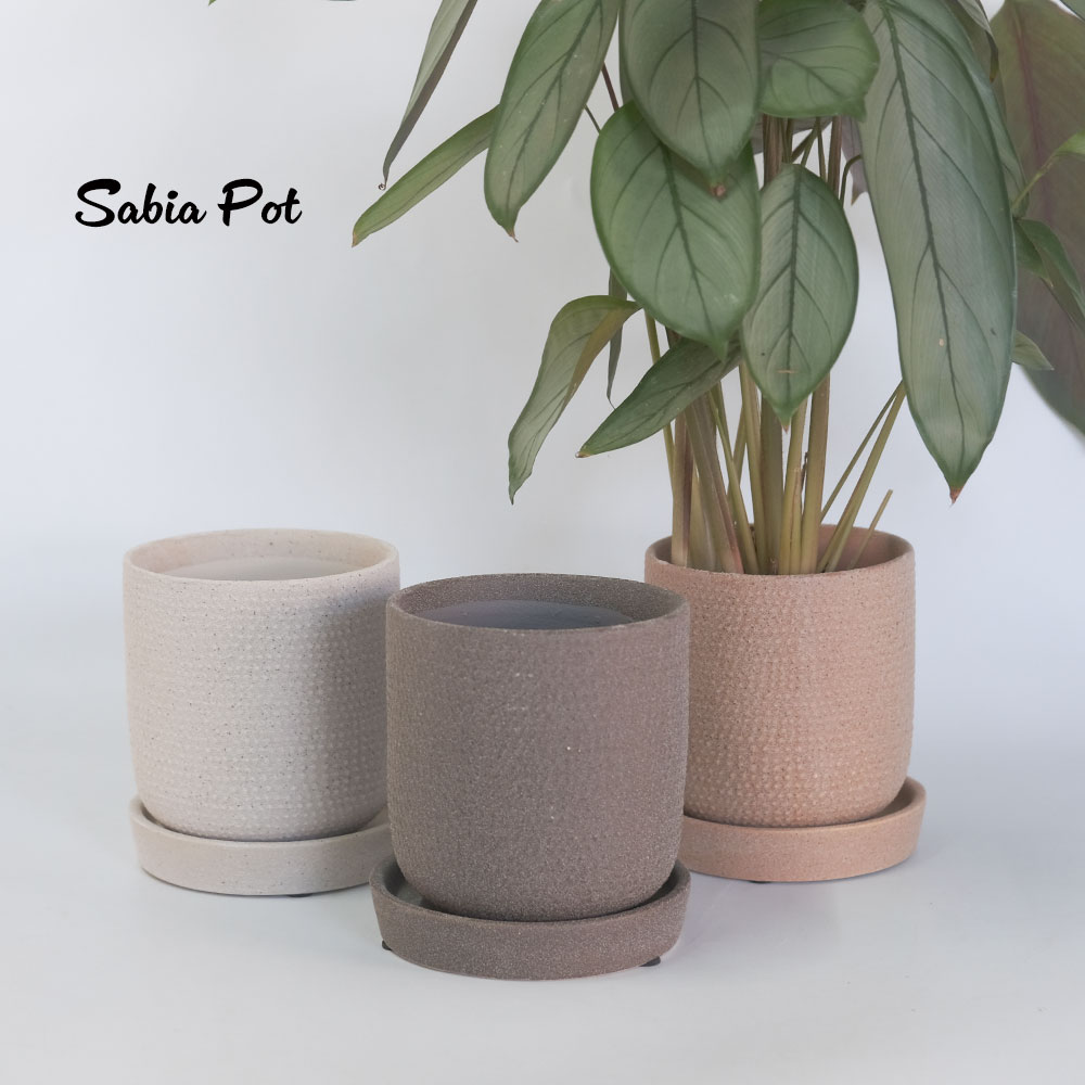 sba-001-003-m.jpg