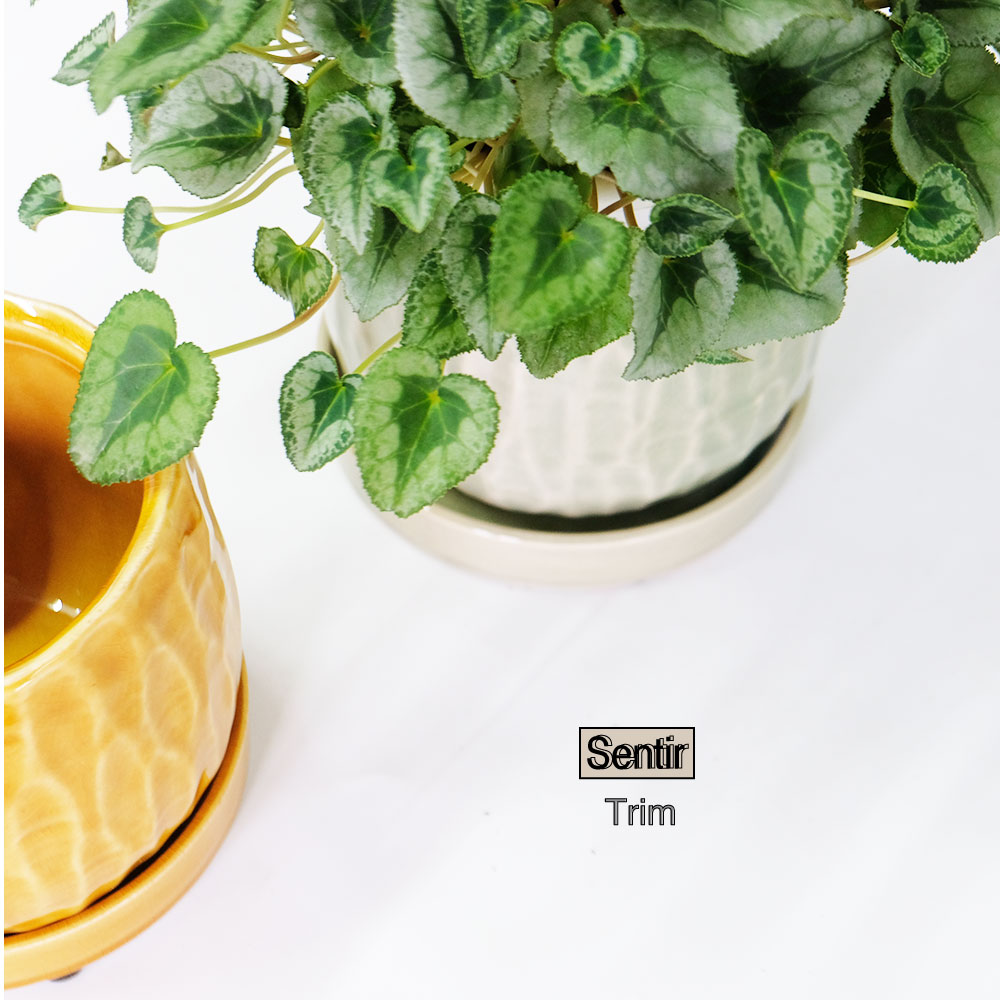 植木鉢 おしゃれ Sentir trimトリム 受皿付 釉薬鉢 陶器鉢 径14cm 高