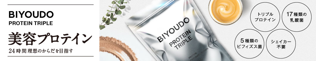 プロテイン導線