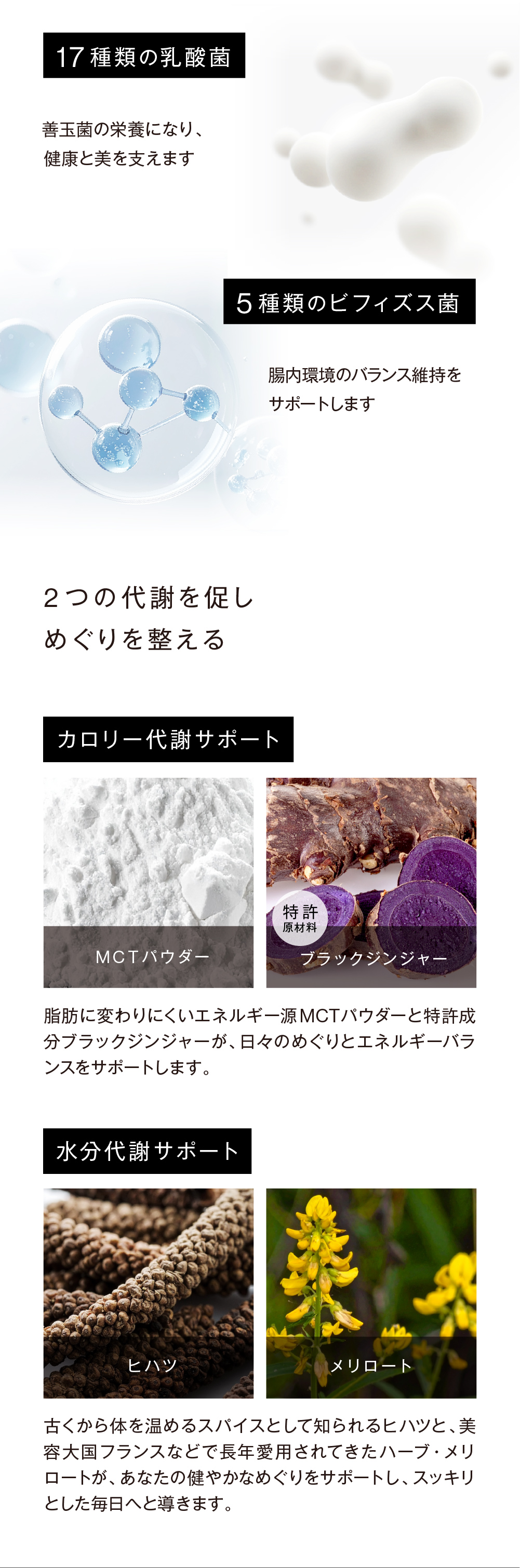 BIYOUDO スムージー