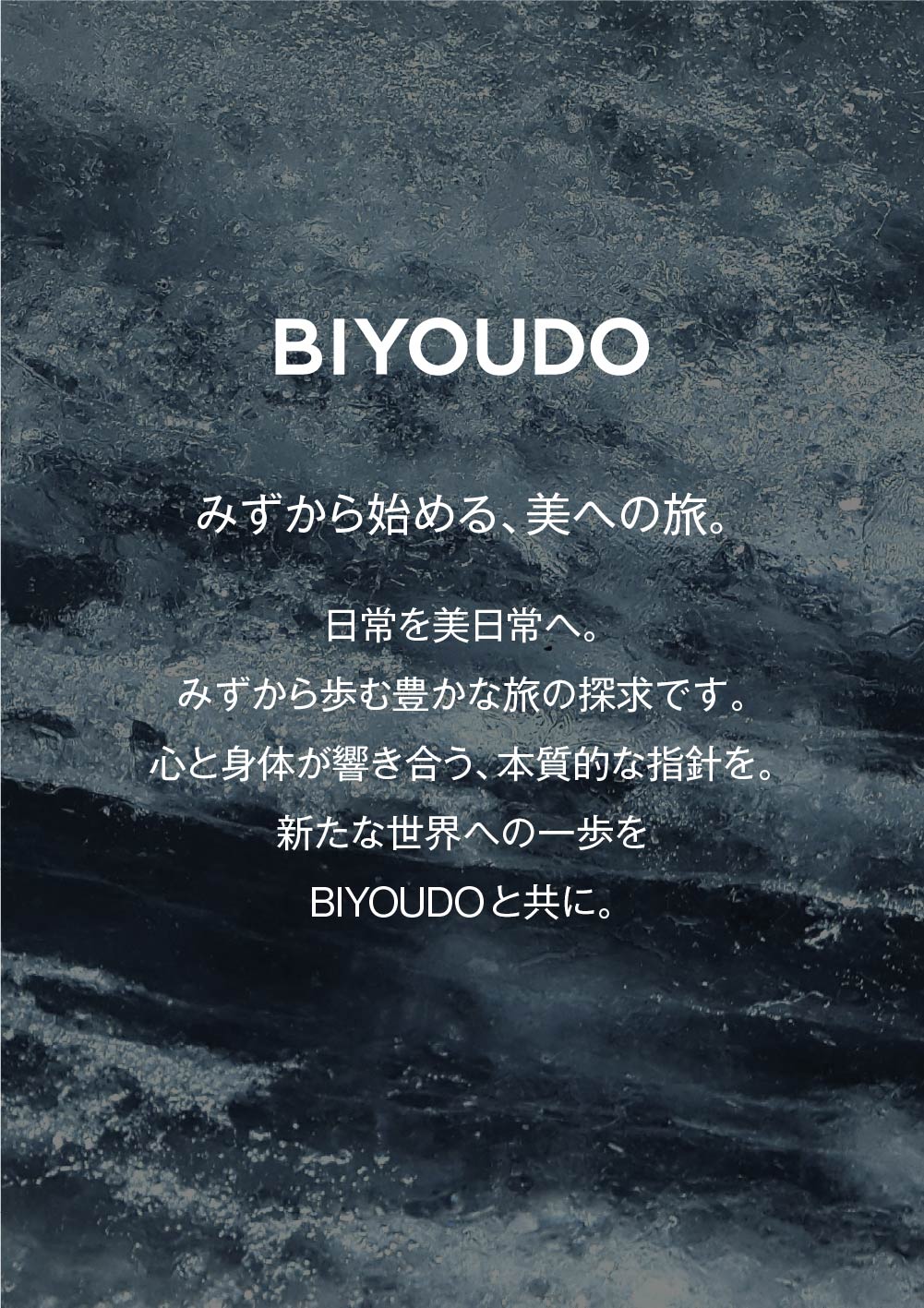 BIYOUDO スムージー