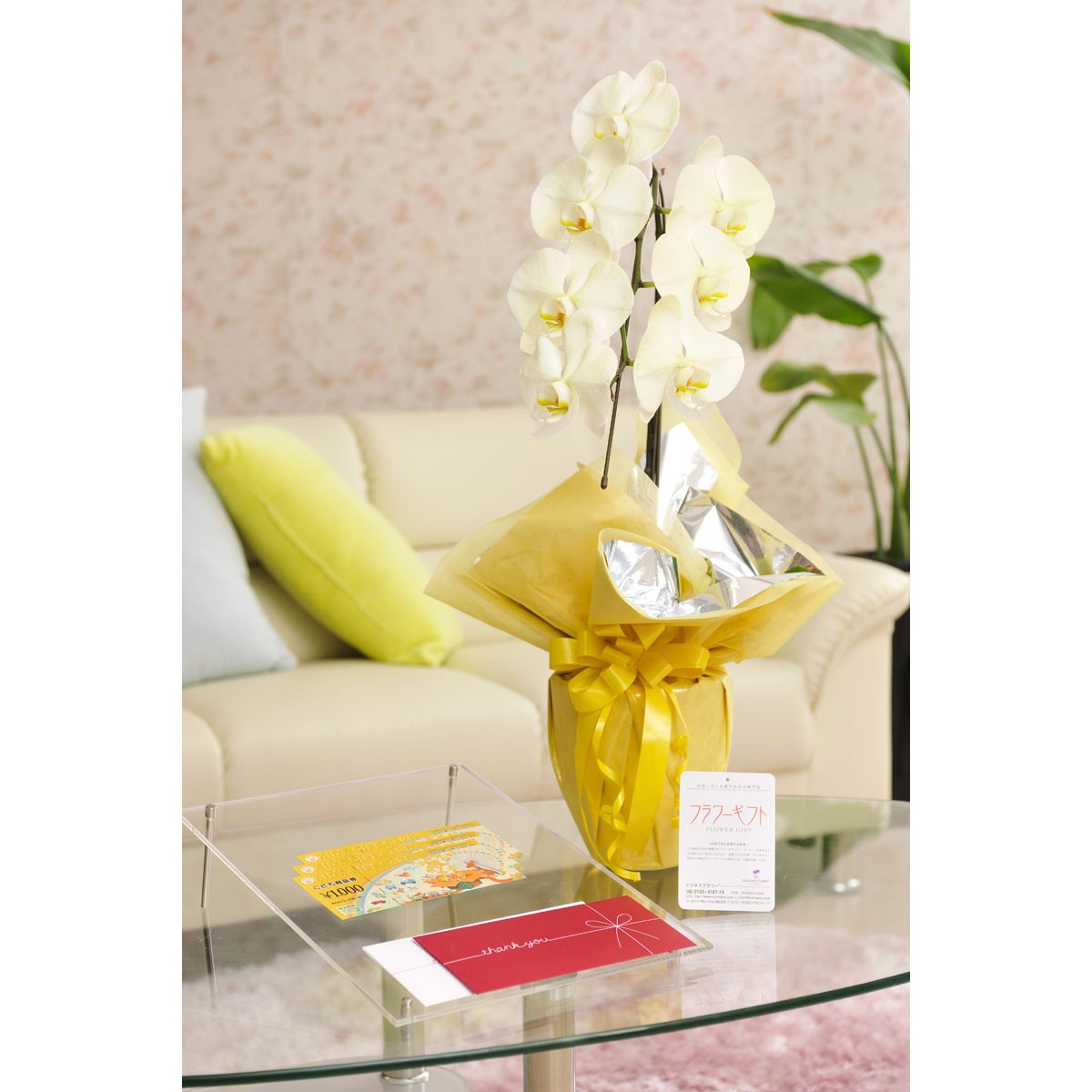 送料 カード ラッピング無料 Irodori 花とギフトのセット 選べる花色のカラー胡蝶蘭 彩 Irodori ギフト券 コード販売 1本立 暖色系 と商品券 こども商品券3000円