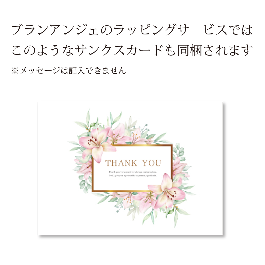 ラッピング サービス l ご希望商品と同じ買い物カゴに入れてご注文ください 送料無料 stp |  | 05