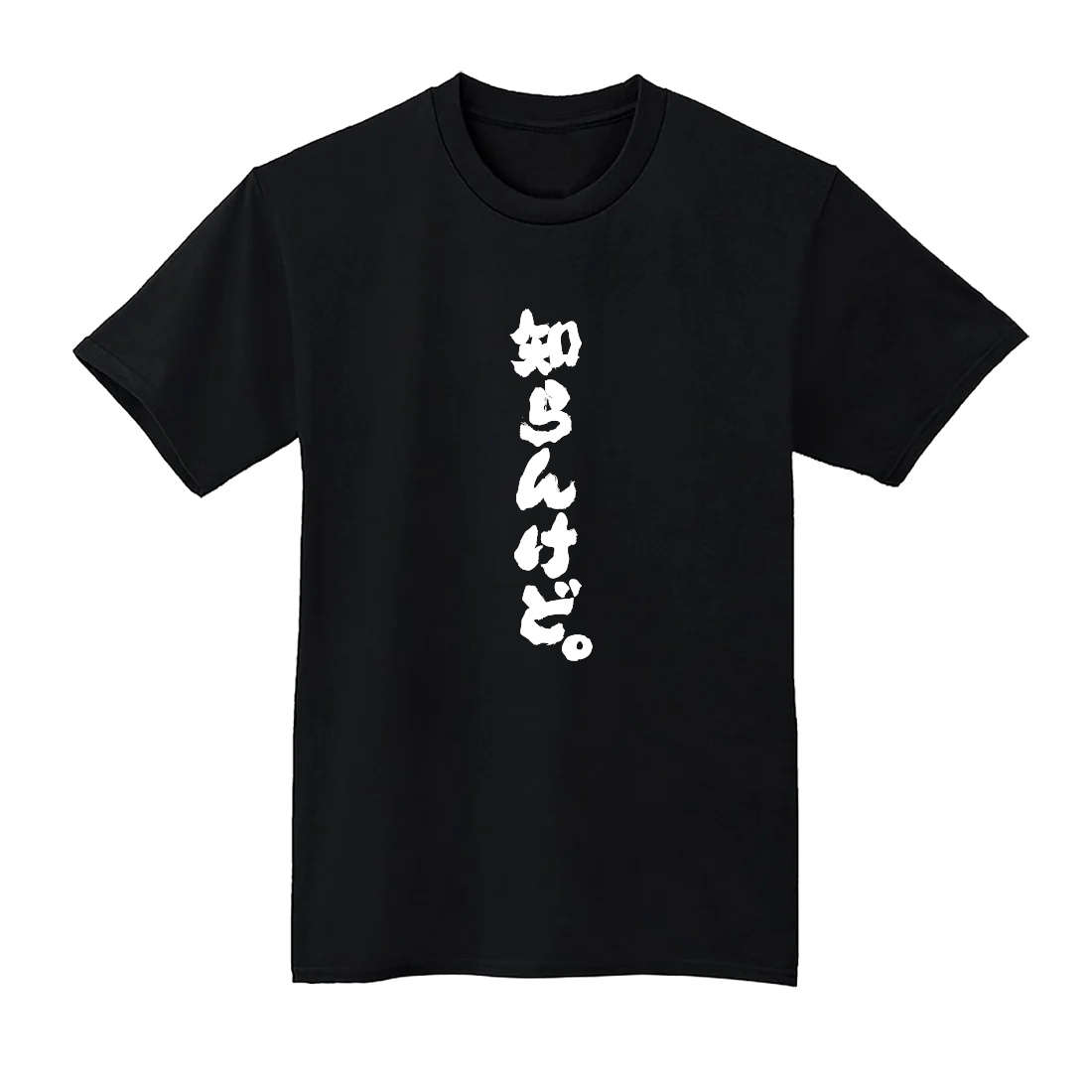 知らんけど。 Tシャツ 半袖 白 黒 おもしろ 筆文字 なんでやねん 大阪