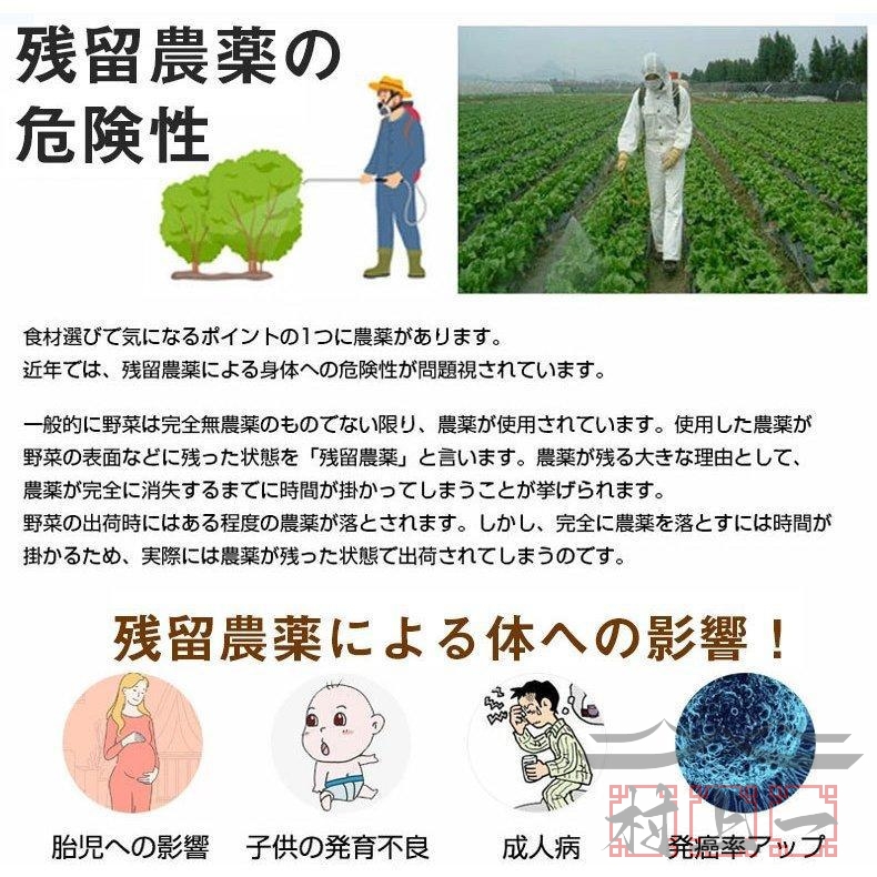 果物と野菜 果物 野菜洗浄機 食品浄化機 家庭用食品浄化器 野菜