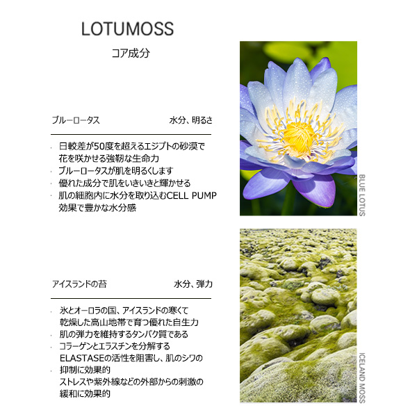 ロハシス LOHASYS スキンフルリカバリーアンプルアイパッチ 60枚 アイケア [330008] |  | 07