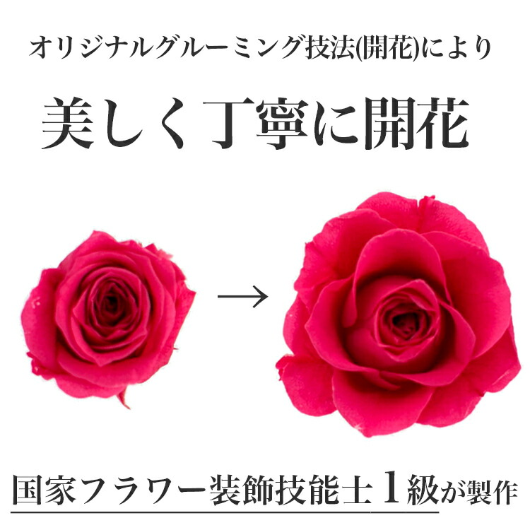 出産祝いフラワーおむつケーキストロベリーショートケーキ(1段)【送料無料】