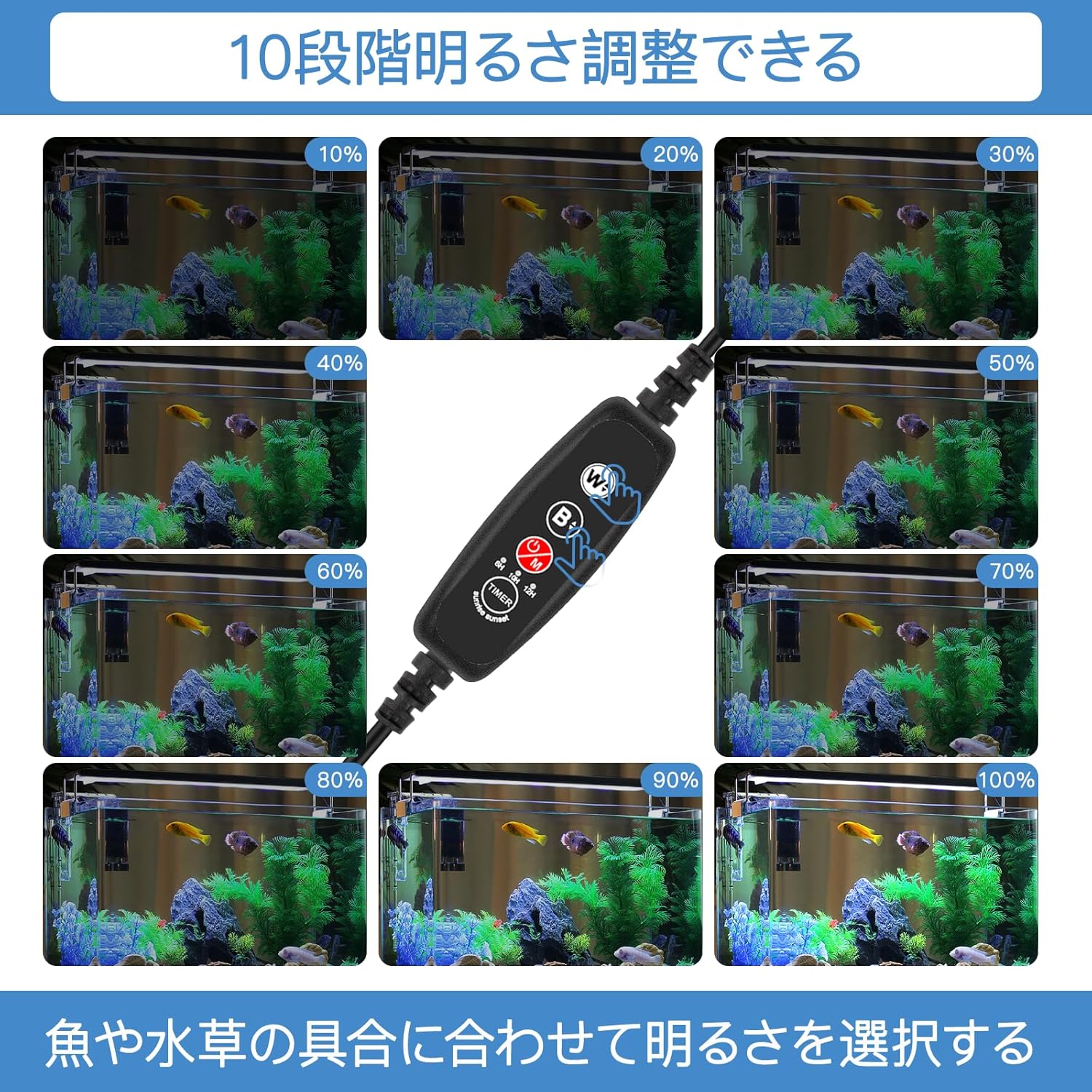 商品画像2
